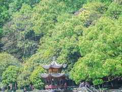 -严子陵钓台(富春江小三峡)