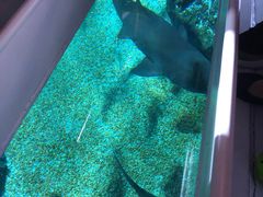 -暹罗海洋世界