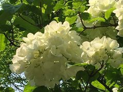 -大宁灵石公园西门票处