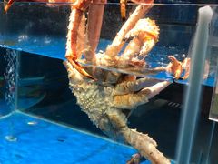 -江南赋(内蒙古大厦店)