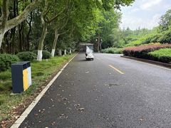 -宜兴龙背山森林公园