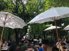 景观位-Fern Forest Cafe