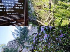 -尧山大峡谷漂流