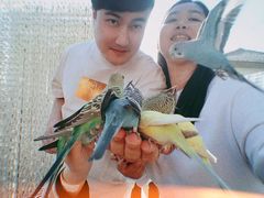 -太阳岛度假酒店