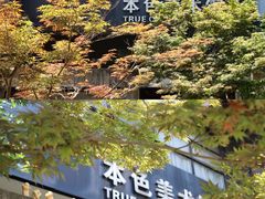 -苏州本色美术馆