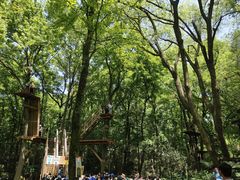 -WeLope紫金山探险公园