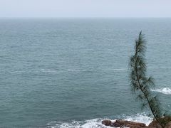 -广东惠东海龟国家级自然保护区