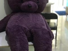 烘干后熊-段先生洗衣家政(钦州北路店)