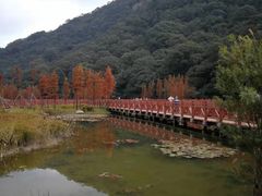 -广州市石门国家森林公园