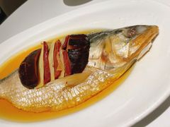 古法蒸鲥鱼-张生记(丁香国际店)