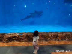 -华夏文旅海洋公园