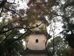 -江心屿景区