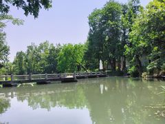 -西溪国家湿地公园