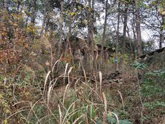 -青龙山国家森林公园