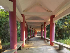 -天鹿湖森林公园