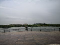 -大兴滨河森林公园