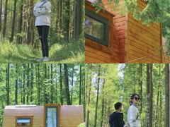 -黄海国家森林公园