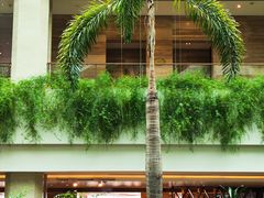 -广州白天鹅宾馆