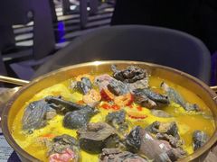 -Darling Queen·Mini·Live·House