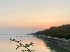 -贡湖湾湿地公园