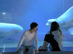 -芜湖新华联大白鲸海洋公园