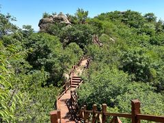 -大岭沟猕猴桃谷风景区