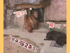-无锡动物园·太湖欢乐园