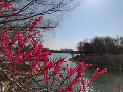 -大兴滨河森林公园