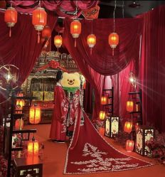 -金夫人婚纱摄影(总店)