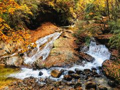 -光雾山旅游景区