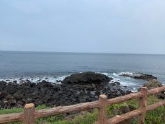 -涉地可支