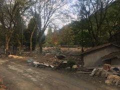 -素山寺森林公园