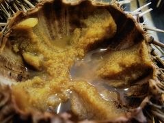 -海胆小馆(东北水饺·春柳店)