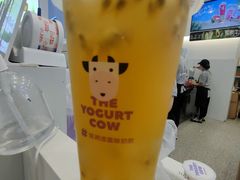 -一只酸奶牛(春熙路店)