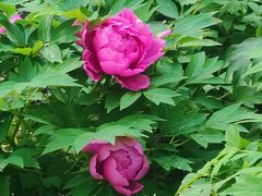 -哈尔滨文化公园