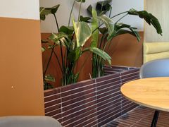 -Wagas沃歌斯(汇智店)