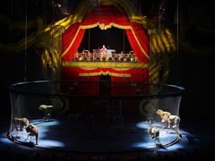 -珠海横琴长隆《卡卡虎奇遇记》