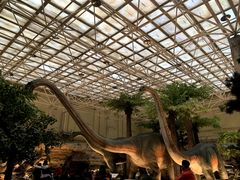 -国家自然博物馆