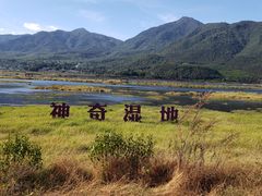 -腾冲北海湿地