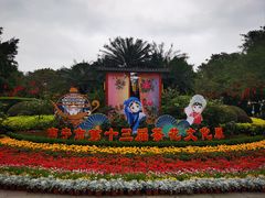 -金花茶公园