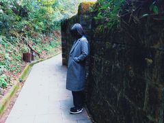-云碧峰国家森林公园