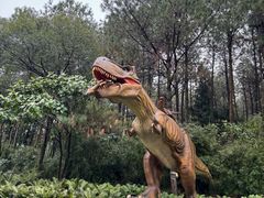 -森波拉奇妙世界