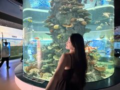 -福州罗源湾海洋世界旅游区