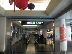 -厦门高崎国际机场-T3航站楼