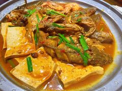 -东来菜馆•手抓海鲜家常菜•海鲜锅贴(鸽子窝店)