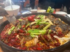 -老板恋上鱼(恒隆广场店)