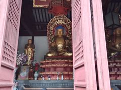 -苏州上方山国家森林公园