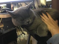 -壹人壹像工作室(购物公园店)