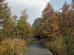 -溱湖国家湿地公园