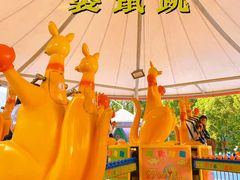 -温州乐园